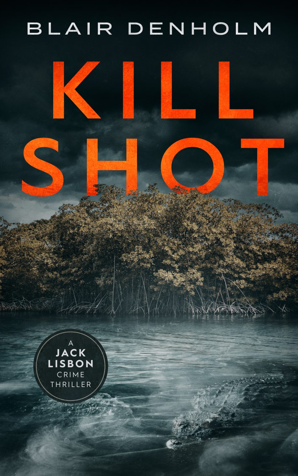 Kill Shot cover